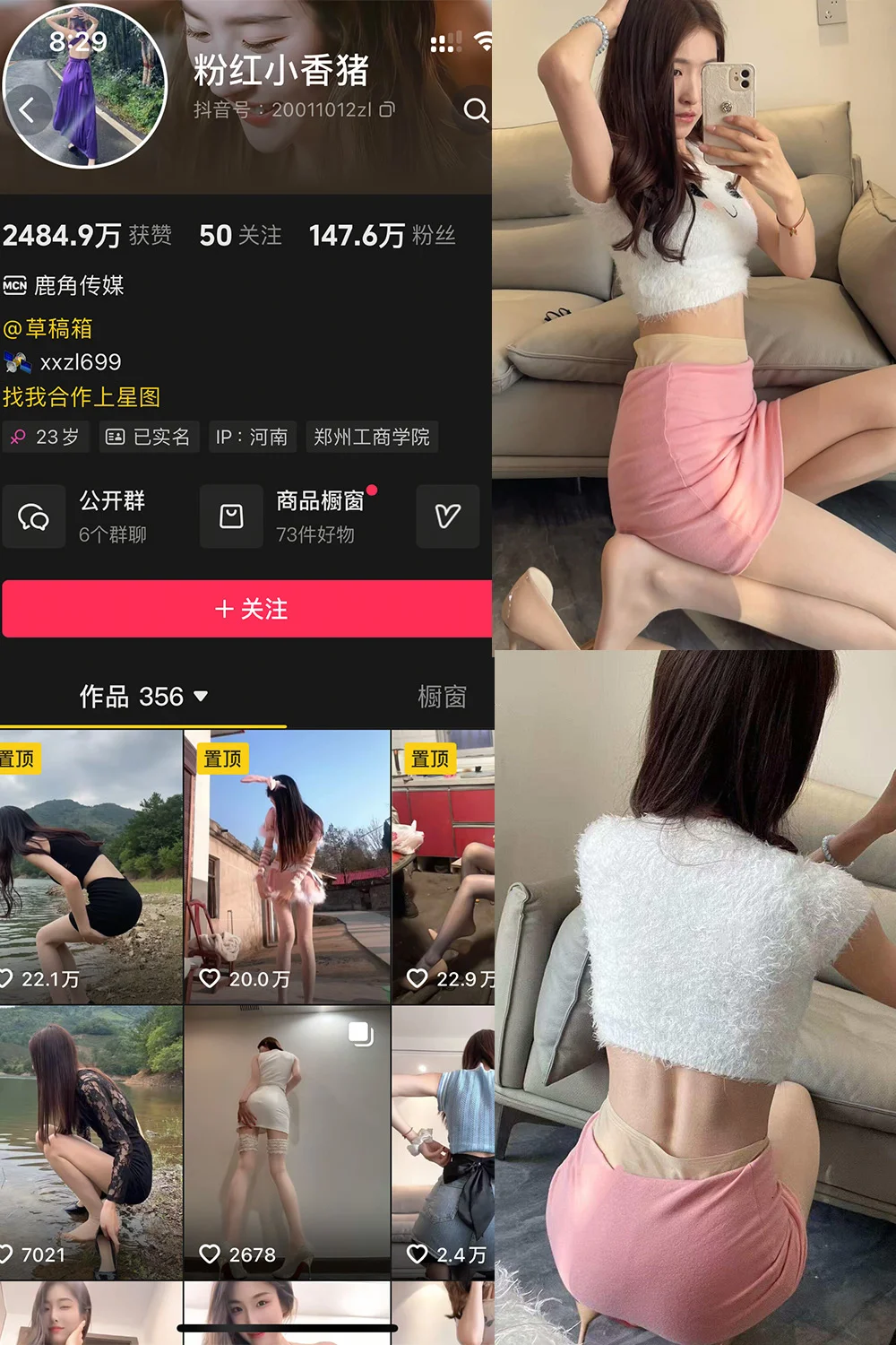 粉红小香猪写真图片(2)